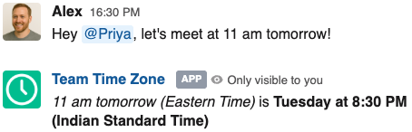 Screen shot of Team TimeZone Auto Time Conversion feature